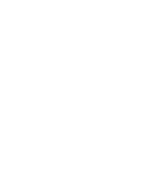 Logotyp UDT